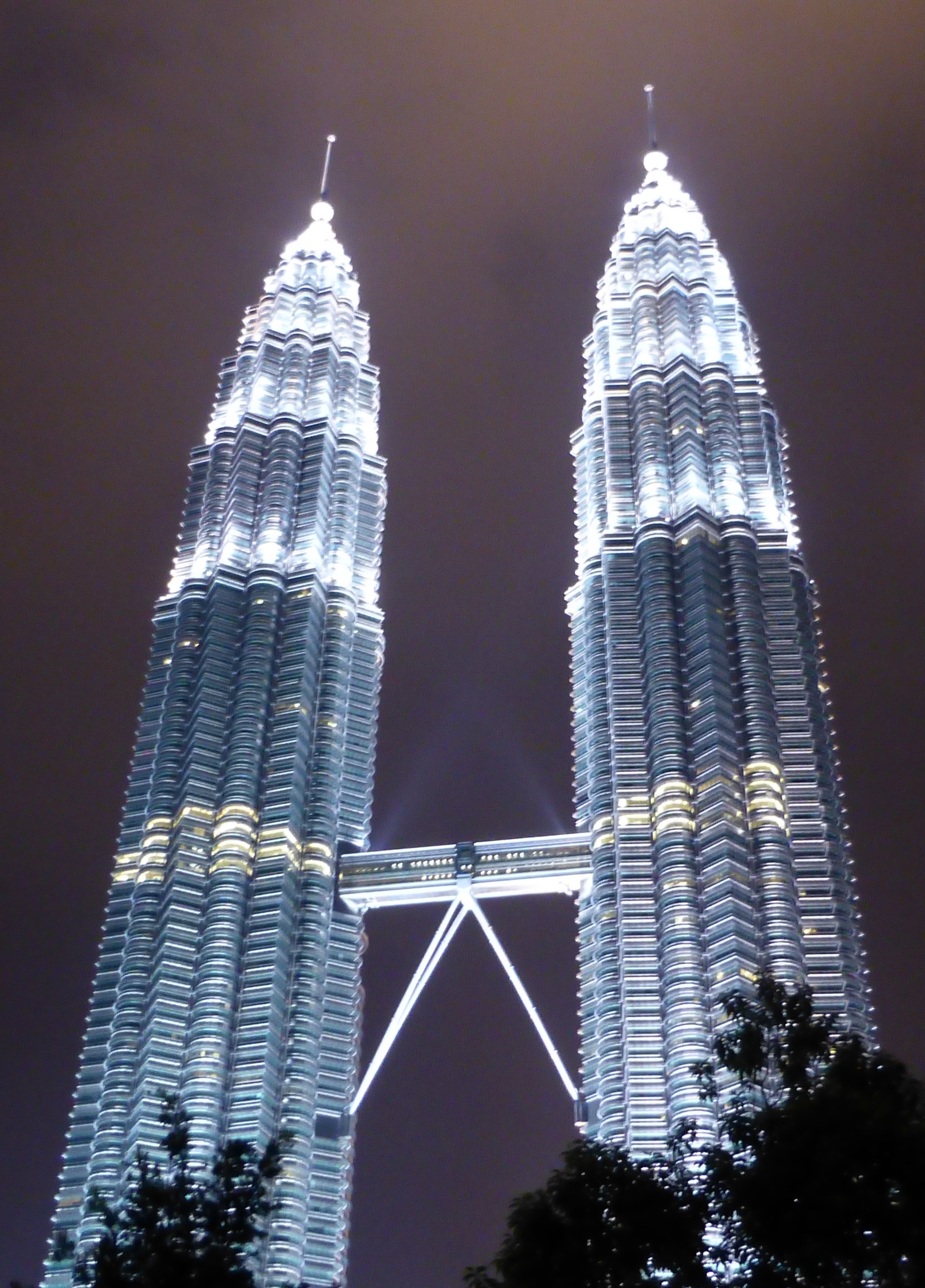 Petronis Towers 