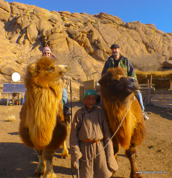 Camel Riding in Mongolia