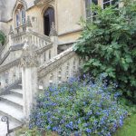 Lacock Abbey – In The Footsteps of Harry Potter